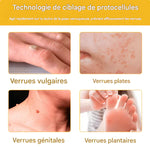 Charger l'image dans la galerie, CRÈME AU VENIN D'ABEILLE – RÉVOLUTION SKINCARE POUR UNE PEAU PARFAITE
