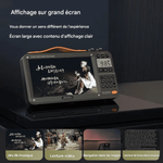 Charger l'image dans la galerie, Sansui F51 rétro vidéo Radio sans fil "TV de poche"
